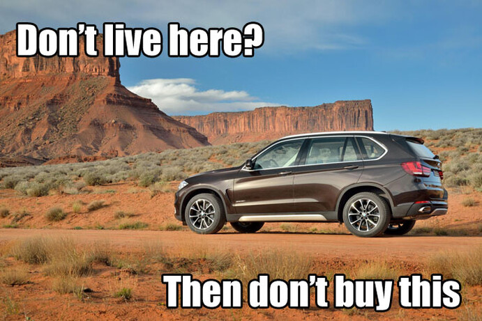 Do the world a favour and buy the diesel.