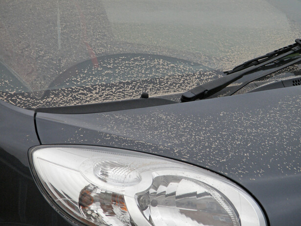 Dusty: Lots of UK drivers woke up to find their cars covered in dust and sand