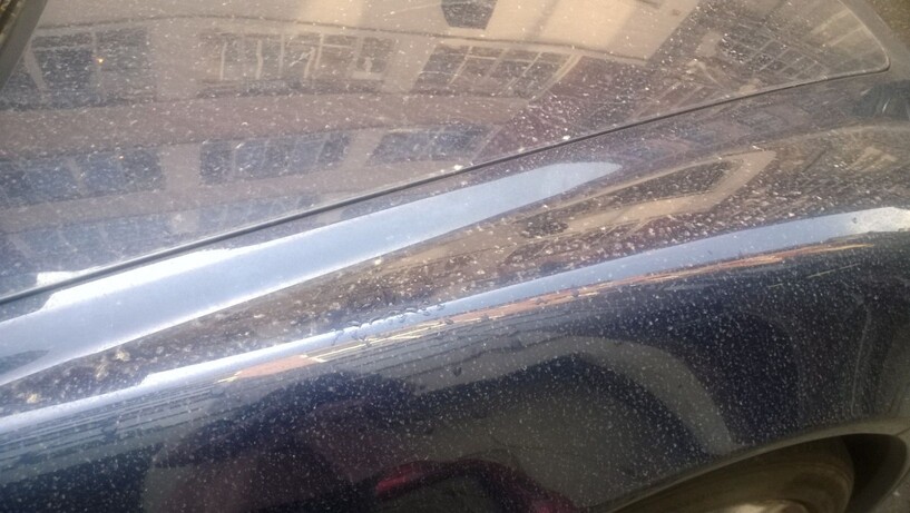 Freak weather: Dust and sand from Sahara land on UK cars