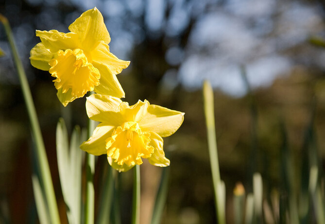Nature can be a cruel mistress