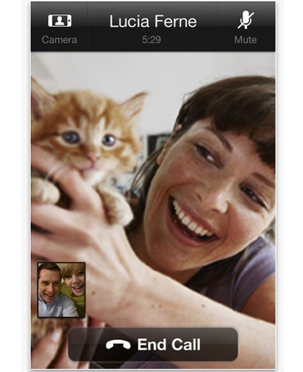Skype for iPad appears then disappears