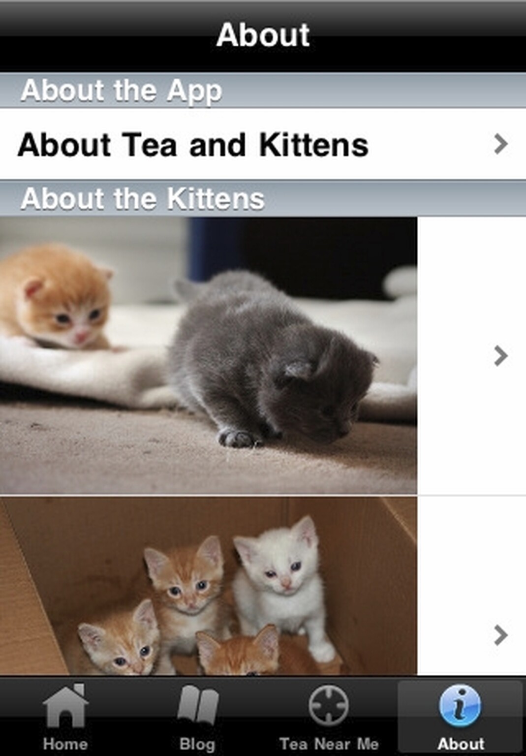 New iPhone app brings tea and kittens together, at last