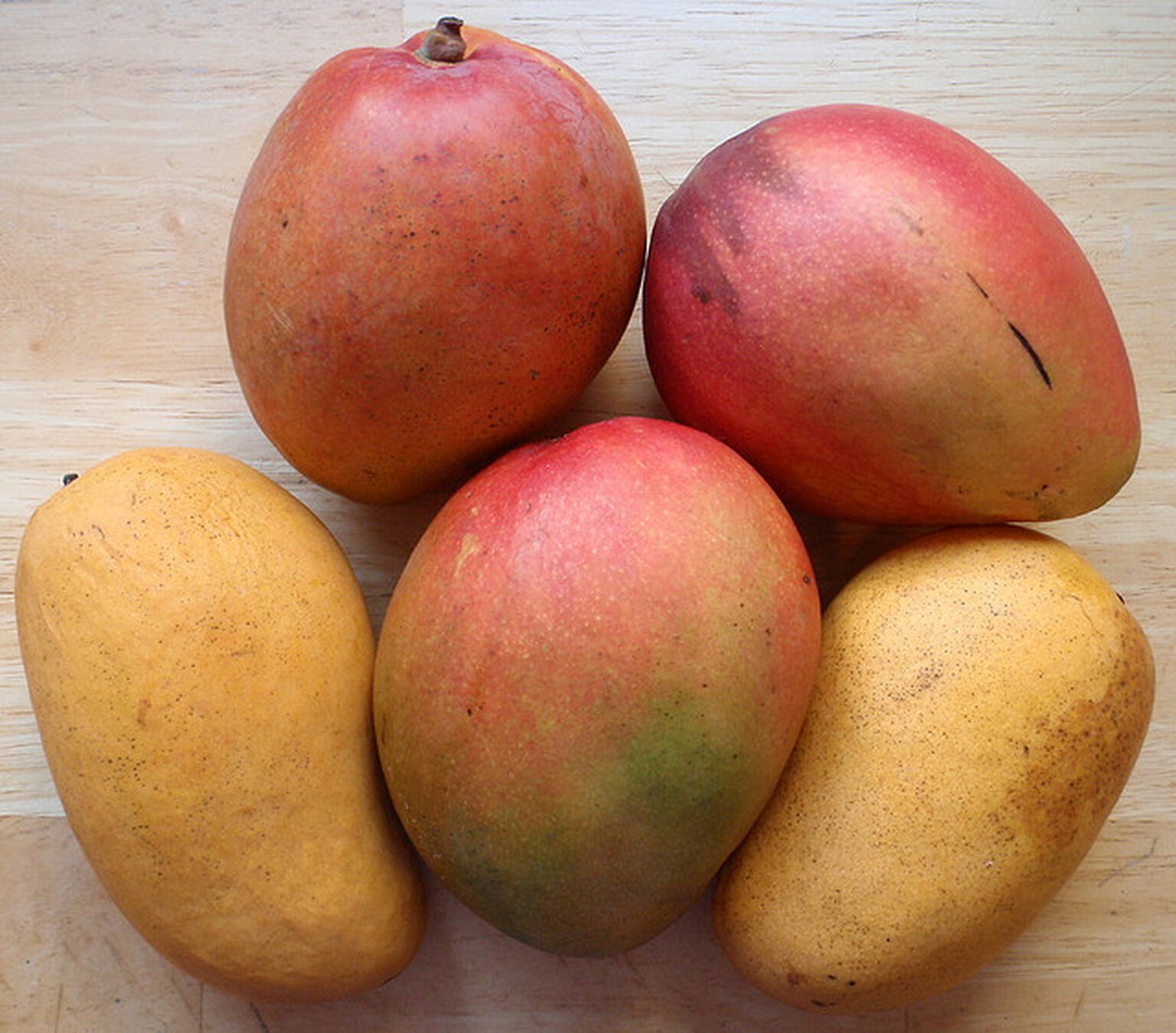 Mango update to bring turn-by-turn navigation and Shazam-style Bing Audio to Windows Phone 7