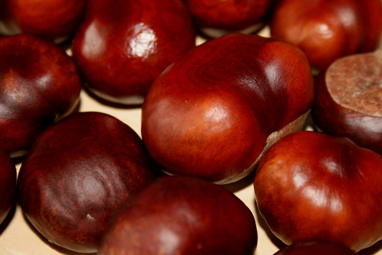 Car park lets customers pay with conkers