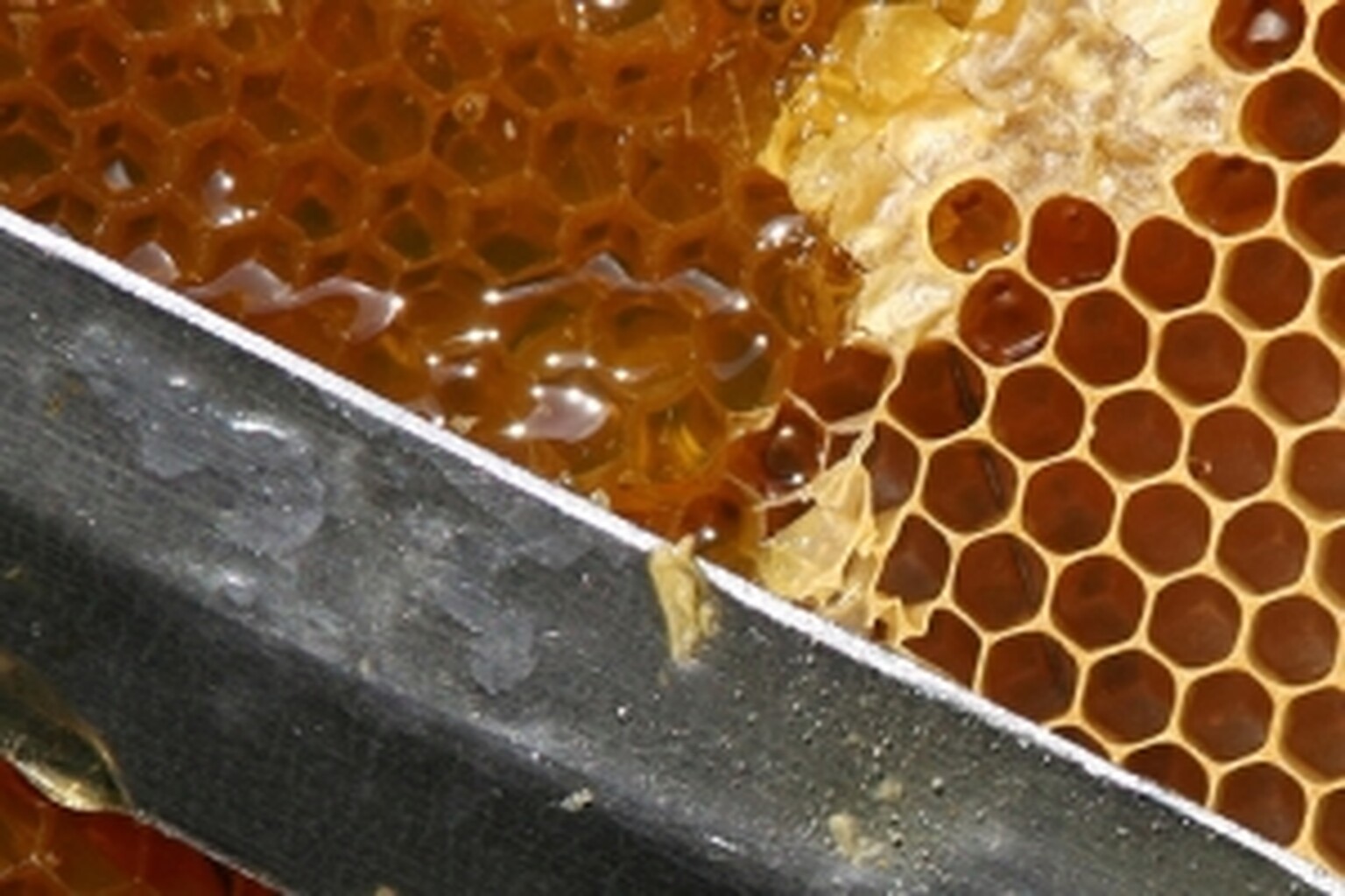Will dual core-only Honeycomb mean cheap Gingerbread tablets?