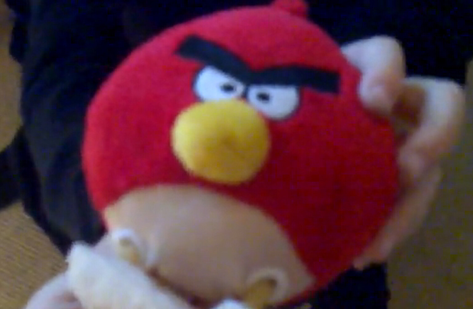 Real-life Angry Birds. Awesome.