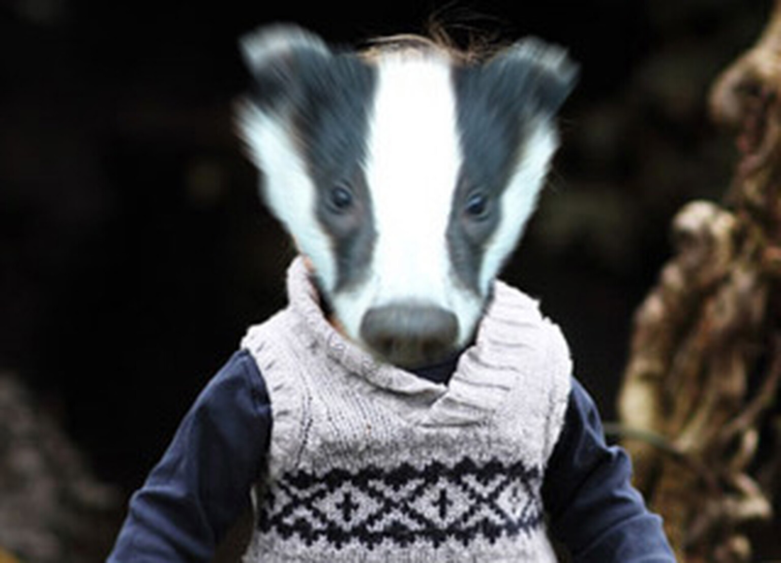 App Friday: iPhone gets the world's first Badger Augmented Reality app