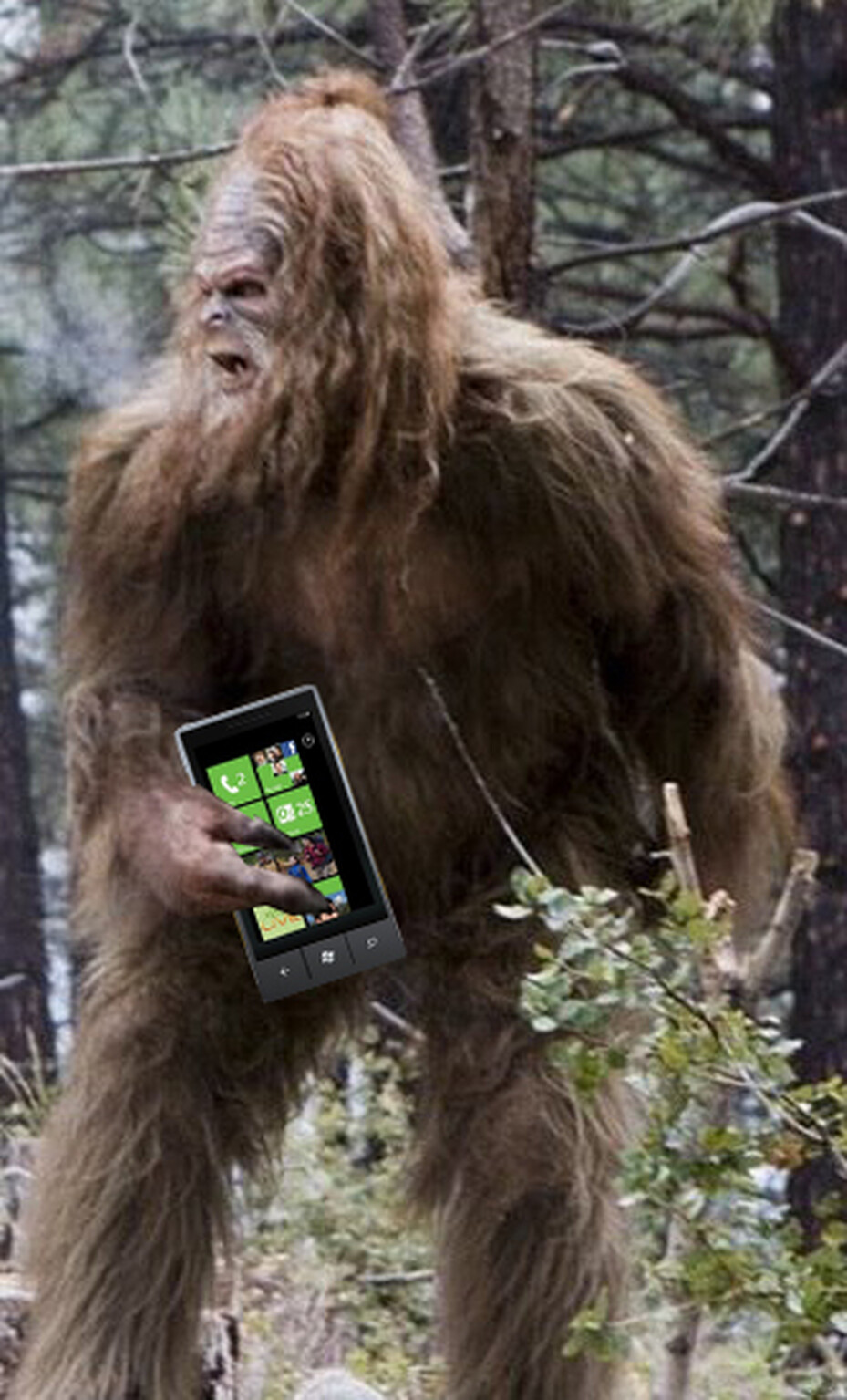 Windows Phone 7 to support tethering, networks could still rain on the parade