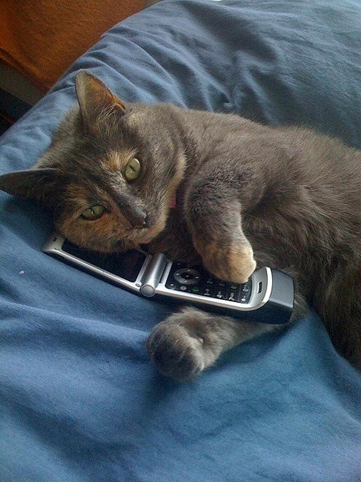 Smartphones, data volume and, er, text messaging all up according to Ofcom