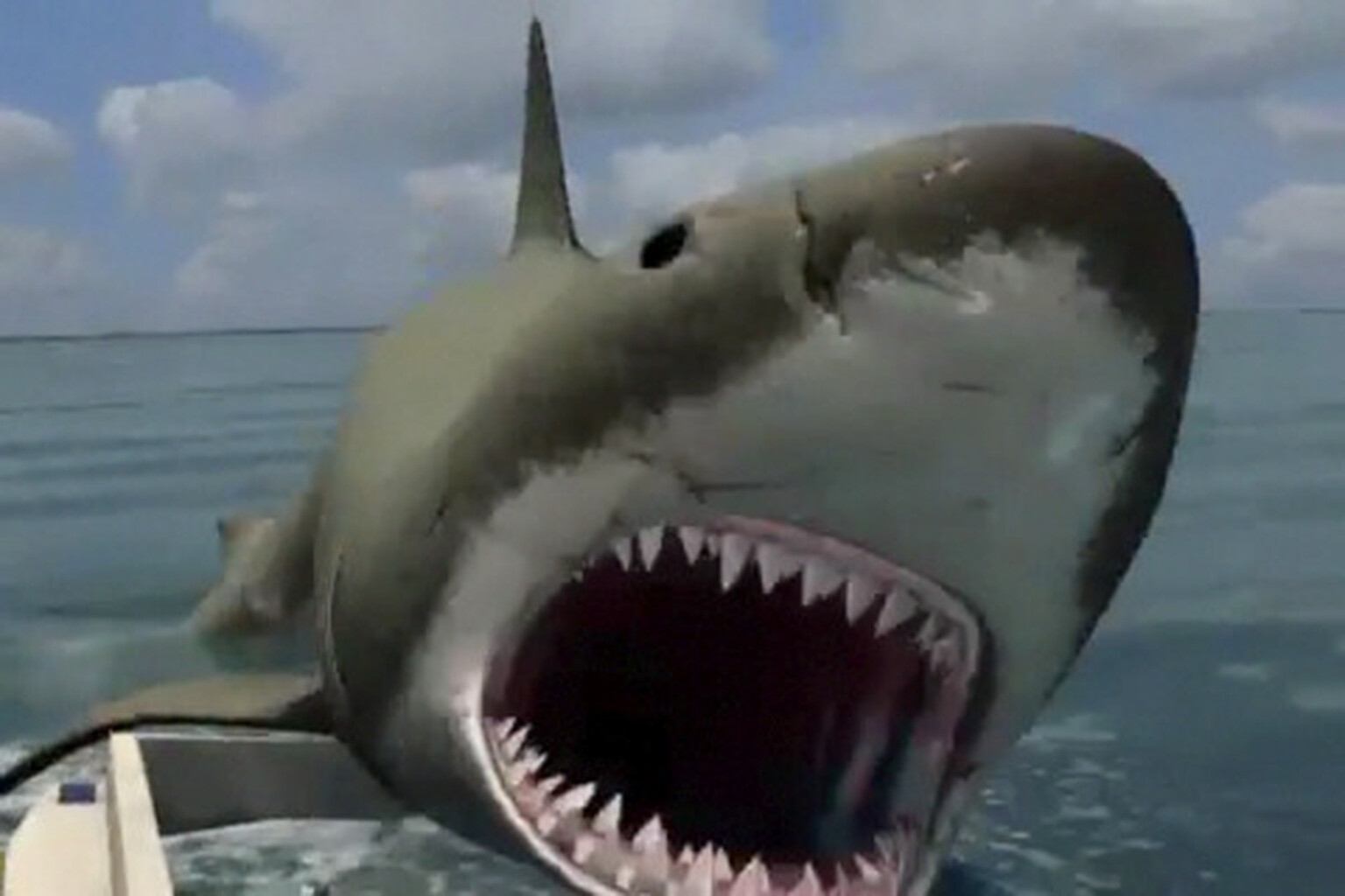 Jaws™ for iPhone is not recommended for selachophobics