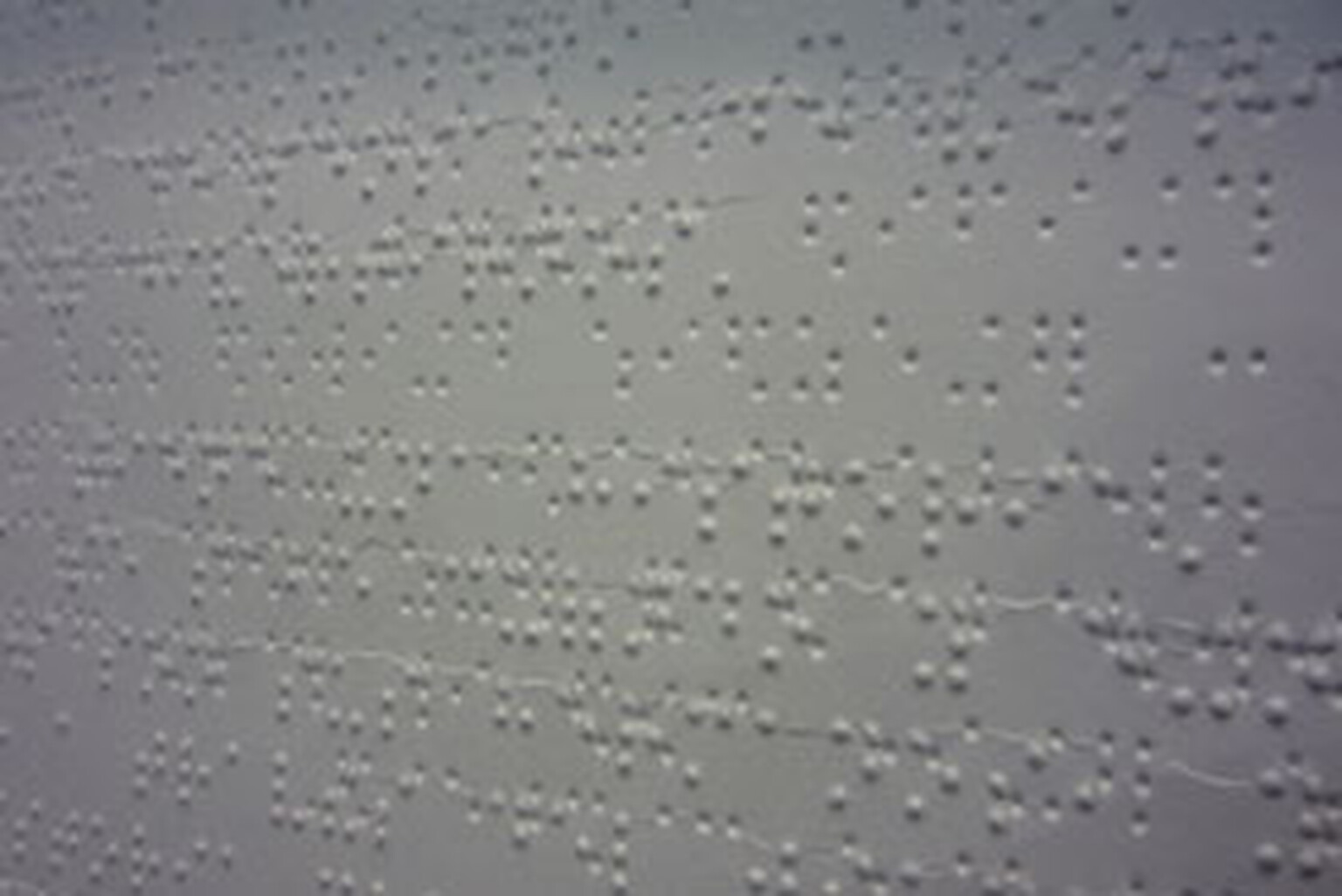 iPhone 4 paired with Brailliant-32 braille display