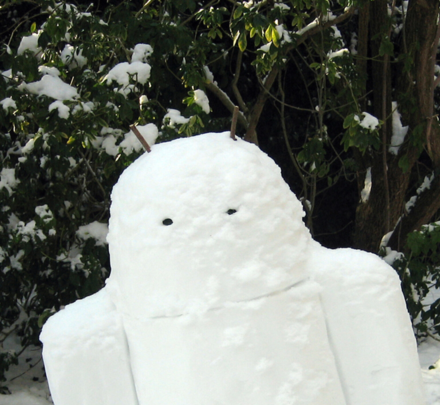 Snowandroid loves snow, hates gravity