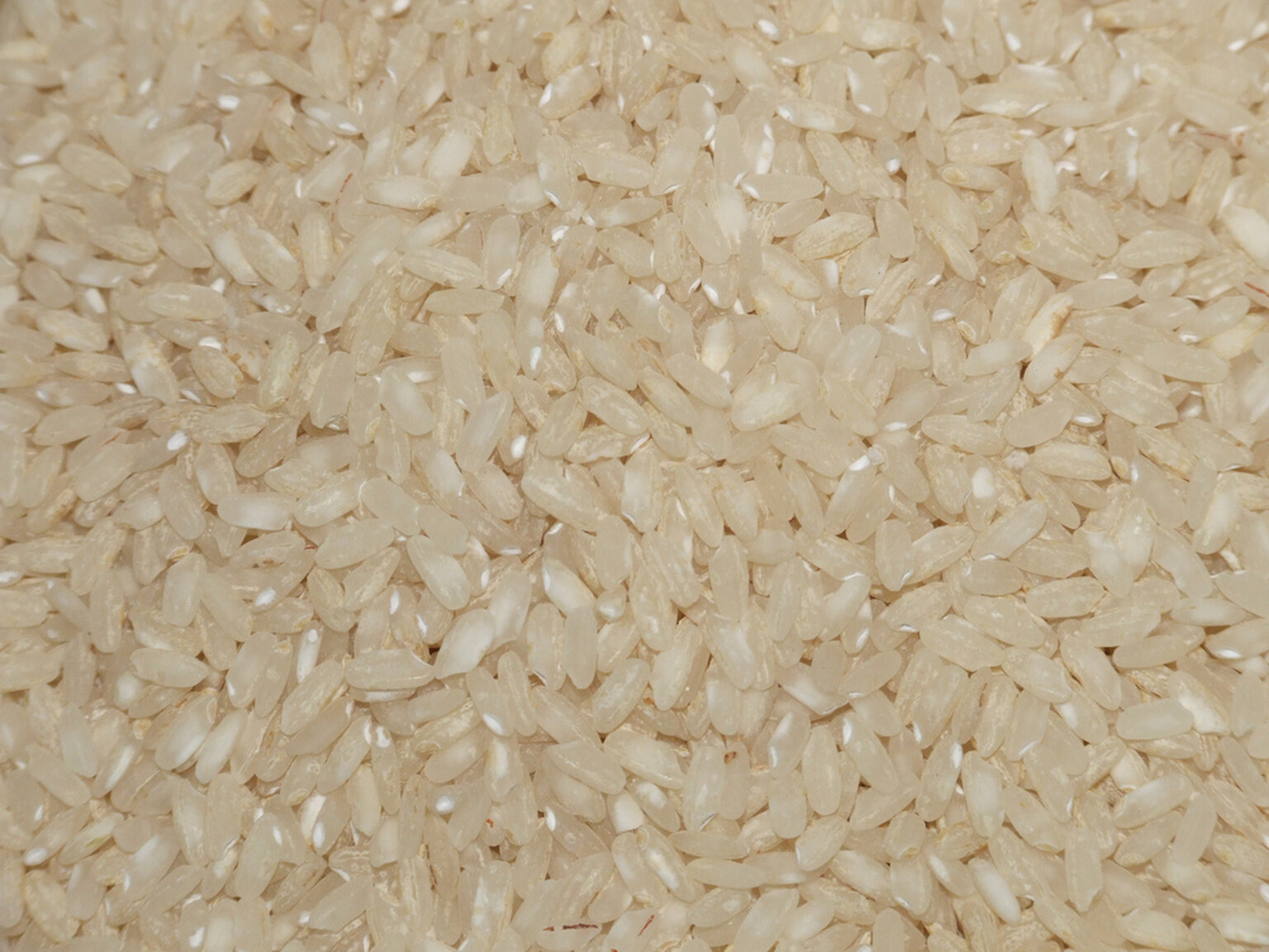 How to dry out a wet mobile phone using rice