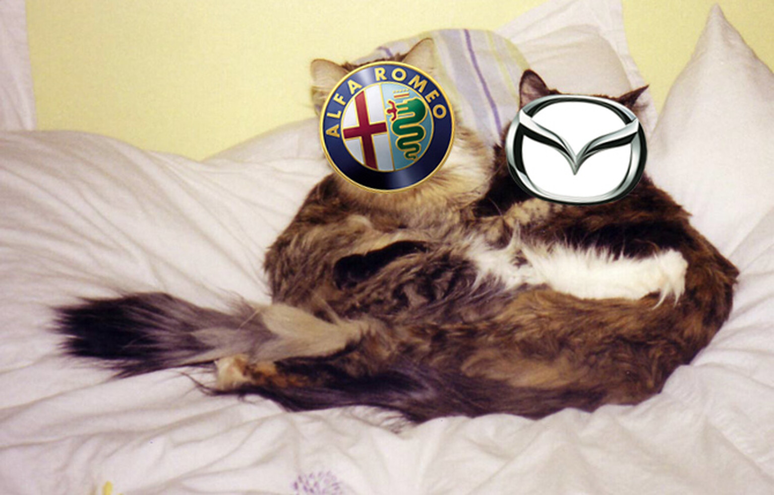 Mazda to partner with Fiat on MX-5-based sports car