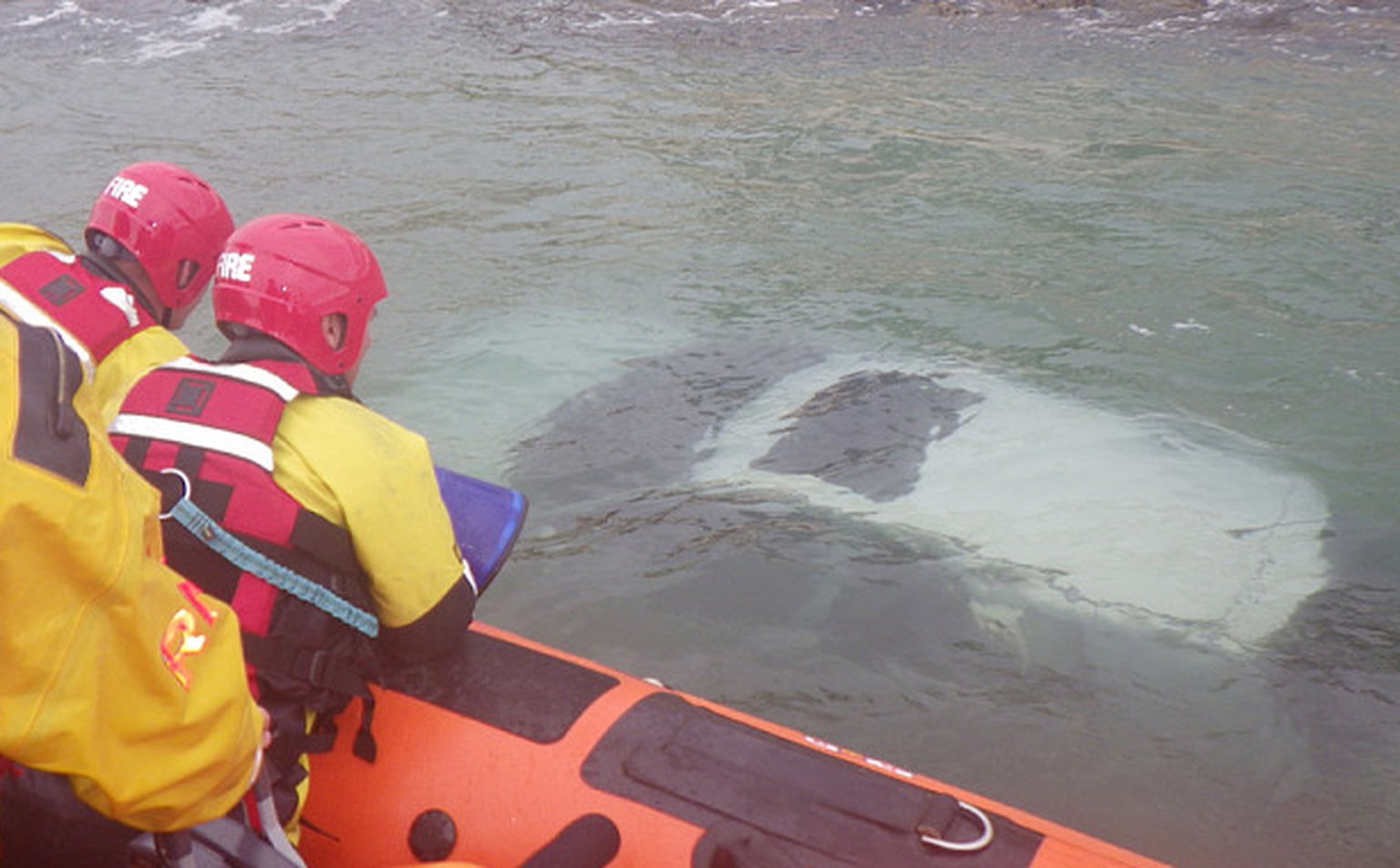 Woman deliberately drives her VW Golf into the sea