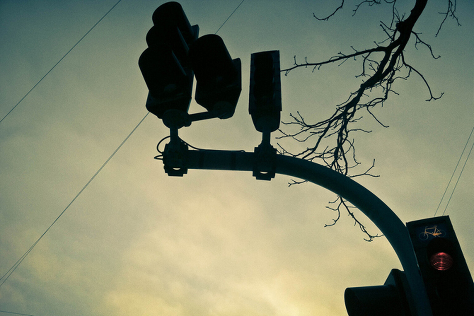 Low-level cycle lights given the green light
