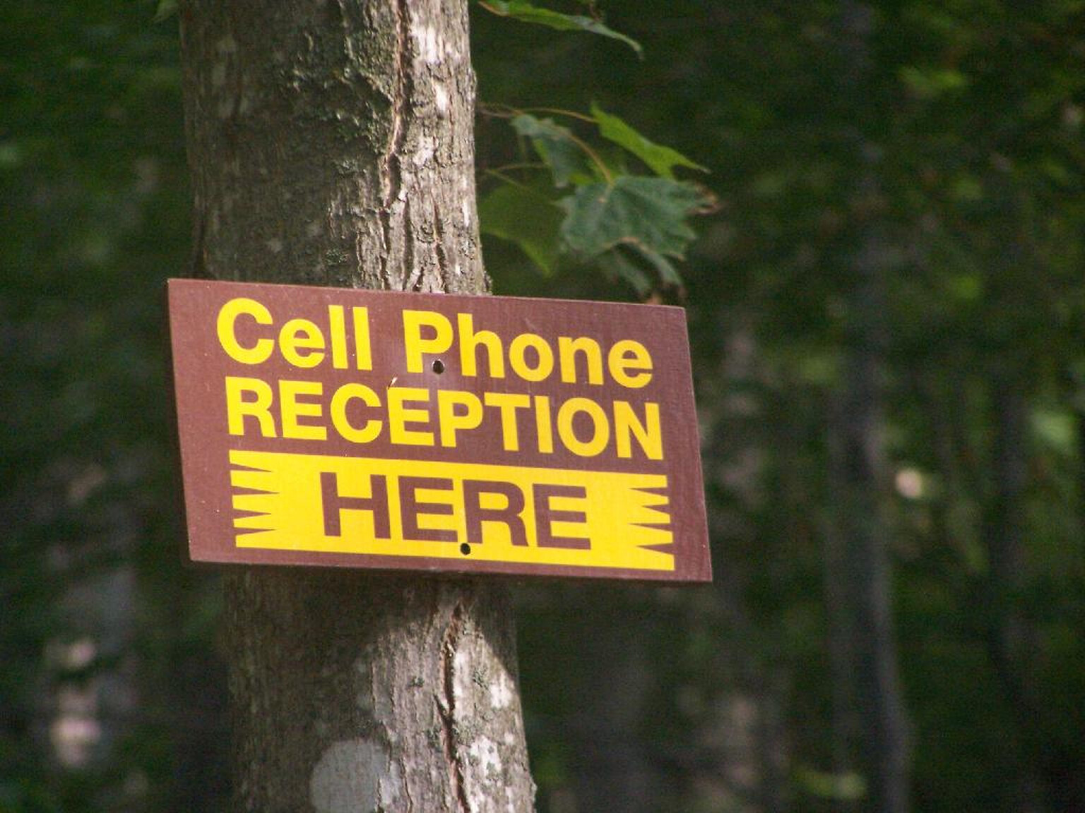 UK networks could be forced to plug black holes and allow free roaming