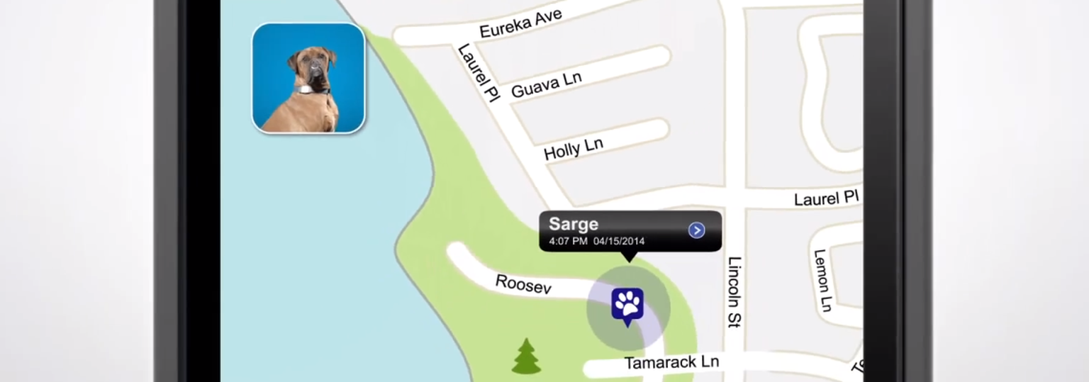 Tagg and Alarm.com let you track your pets with this GPS-powered collar