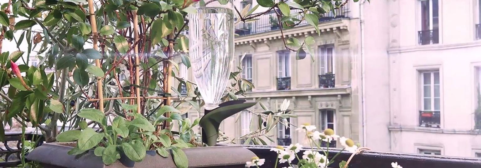 Parrot Pot and Flower Power H2O hands on video at CES 2015