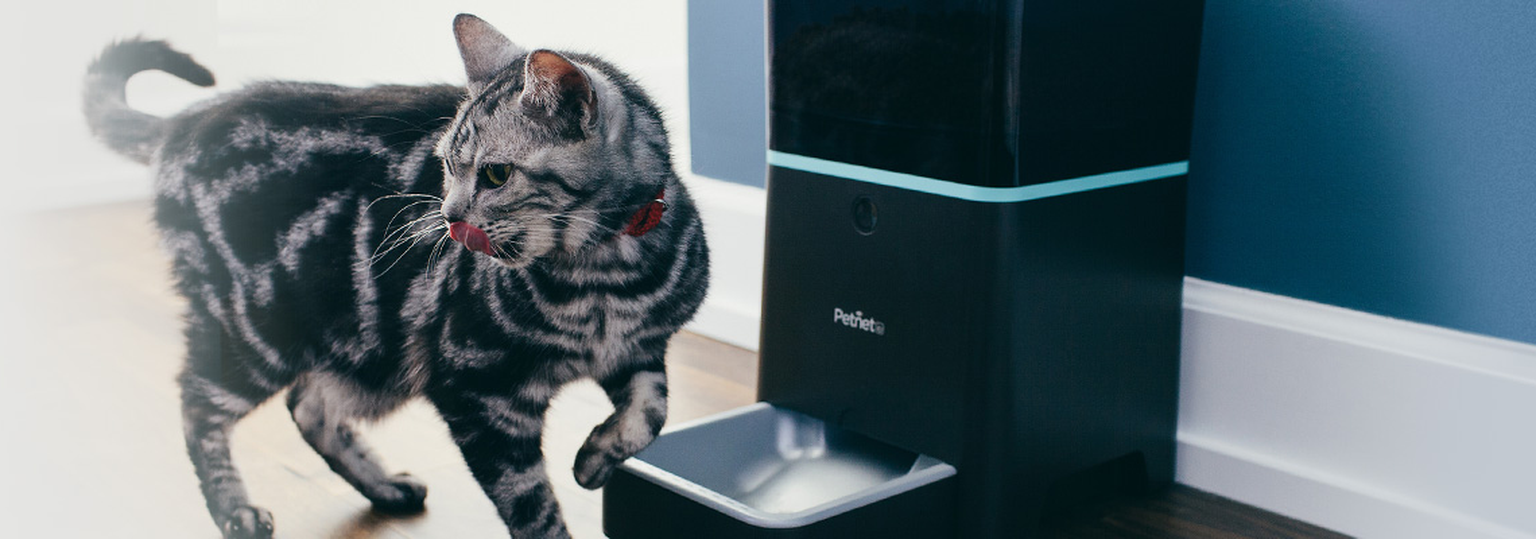 Petnet SmartFeeder lets you feed the cat when you’re on holiday