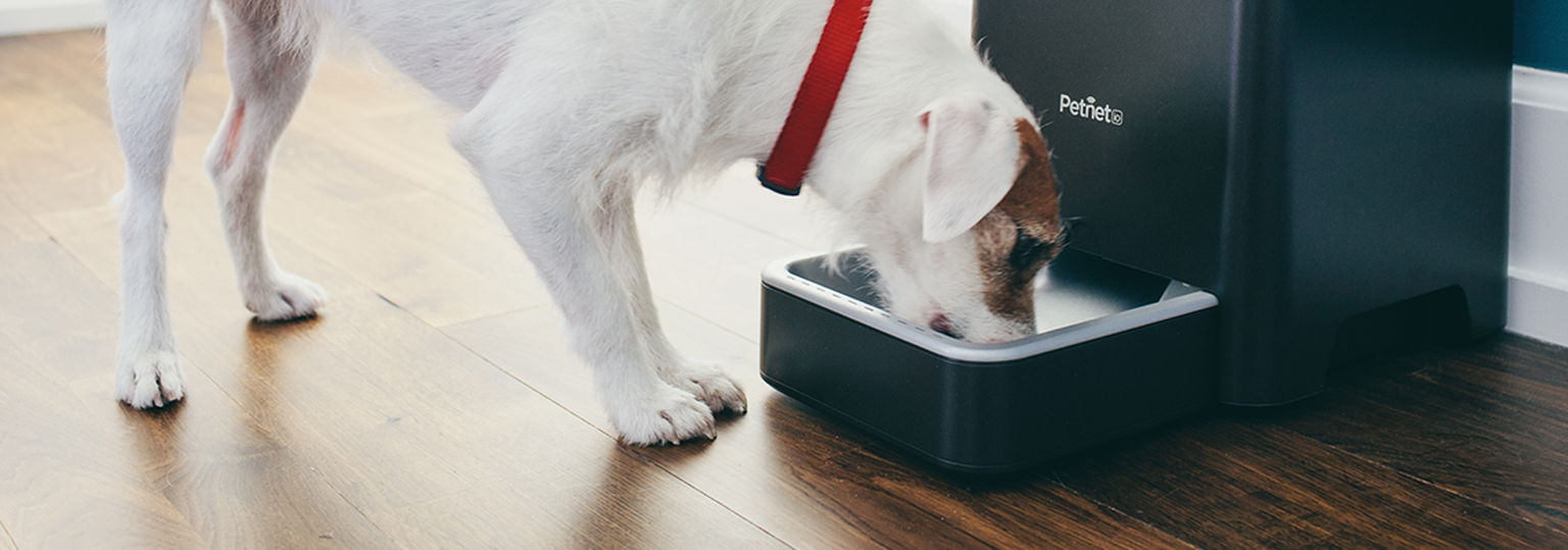 I can haz Jelly Bean? Hands on with Petnet’s SmartFeeder at CES 2015