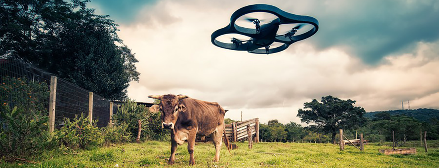 EE could plug gaps in 4G network with drones and balloons