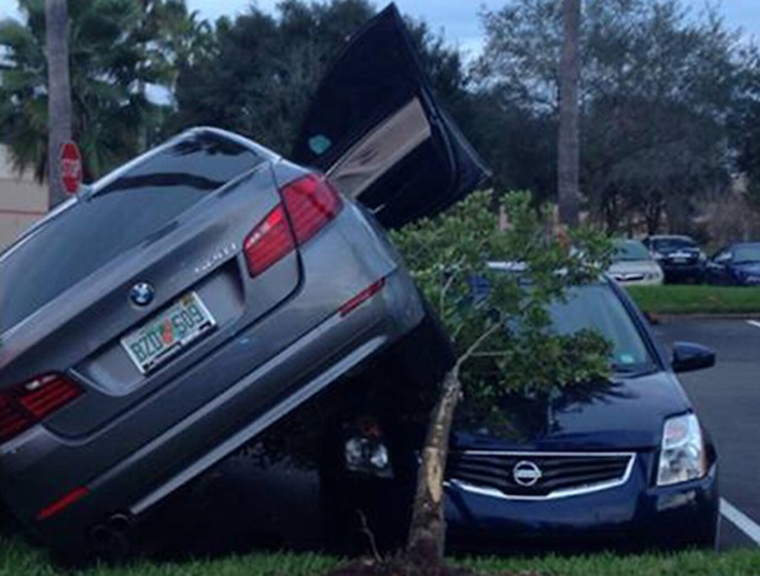 BMW Park Assist blamed for parking blunder