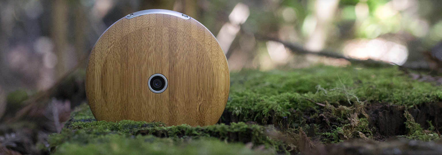 Beautiful technology reigned supreme at MWC 2015