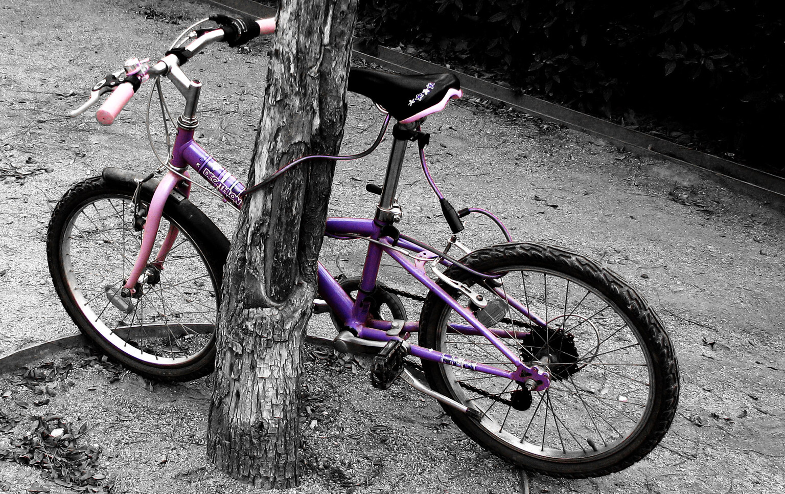 Police threaten to confiscate four-year-old's bike for riding on the pavement