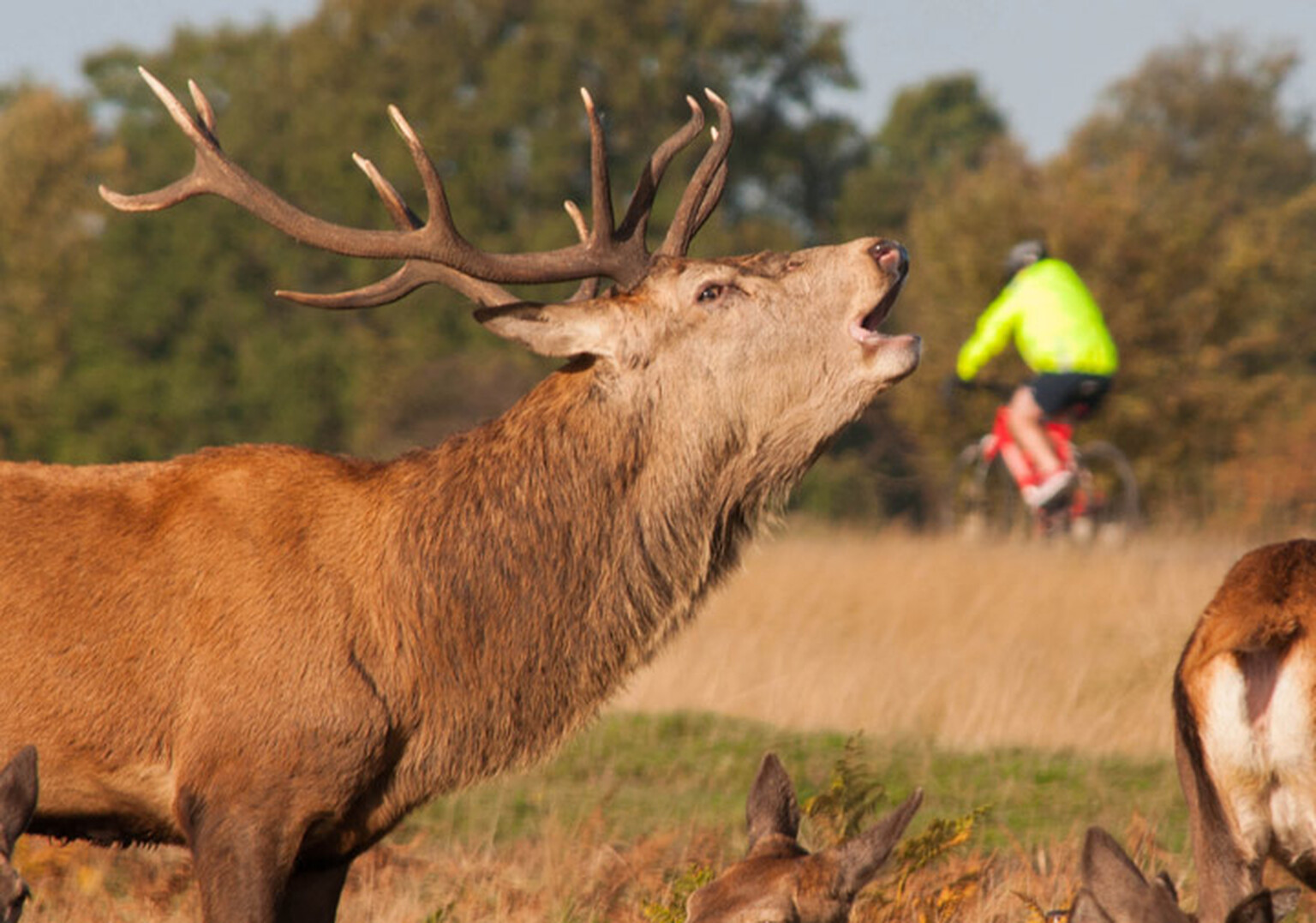 Cyclist fined for breaking 20mph speed limit
