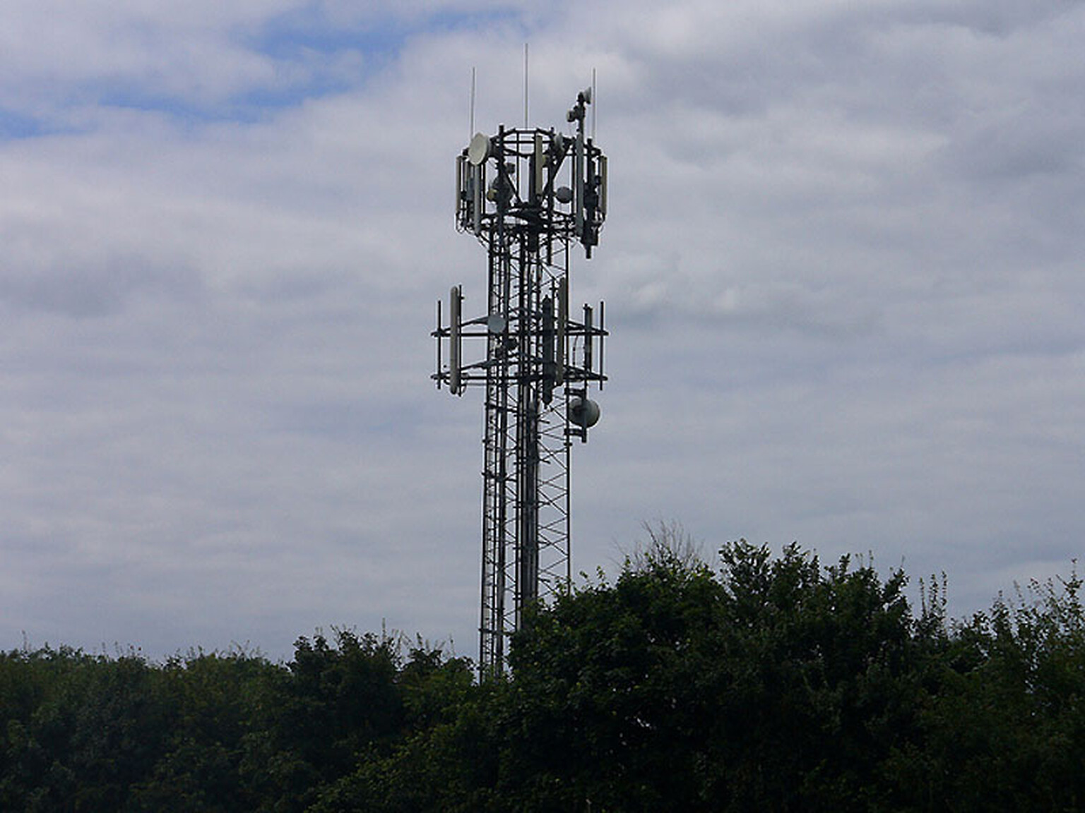 Rural mobile coverage still sucks, EE blames Government