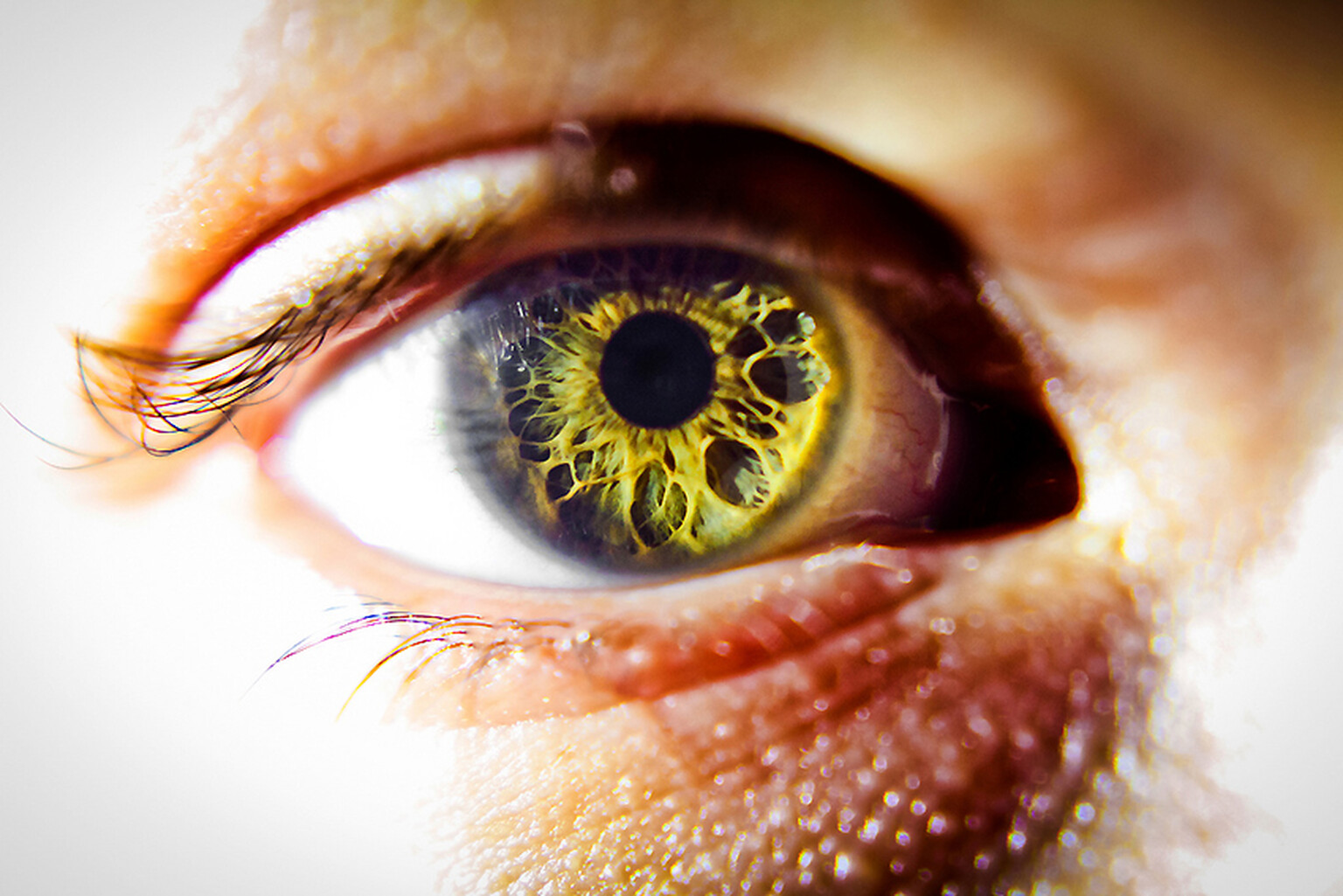 Samsung already replacing fingerprint security with iris scanner?