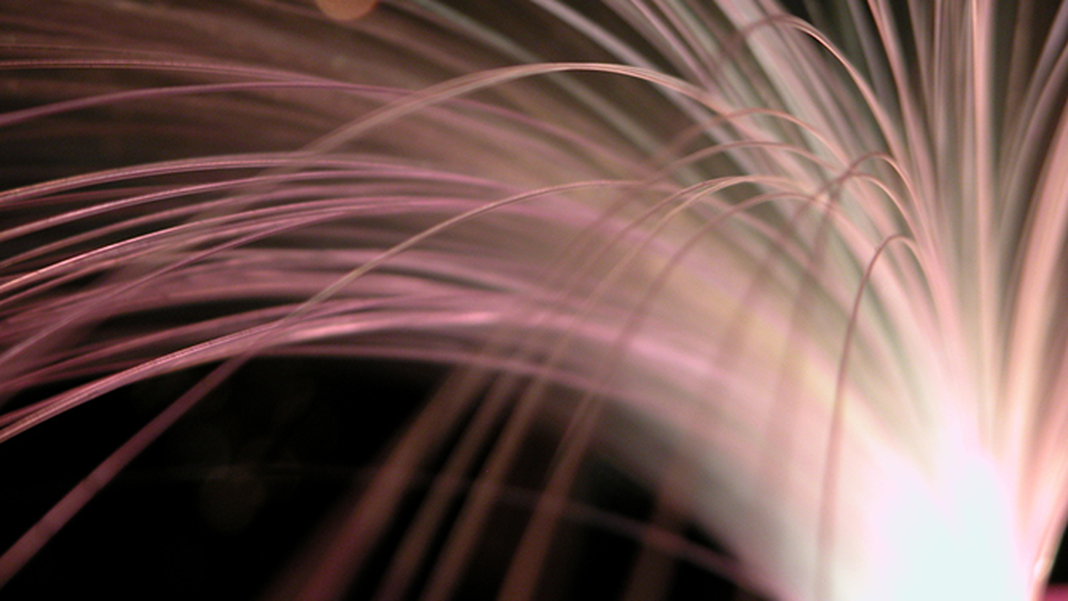 Hyperoptic’s 1,000Mbps broadband lights up first Liverpool homes