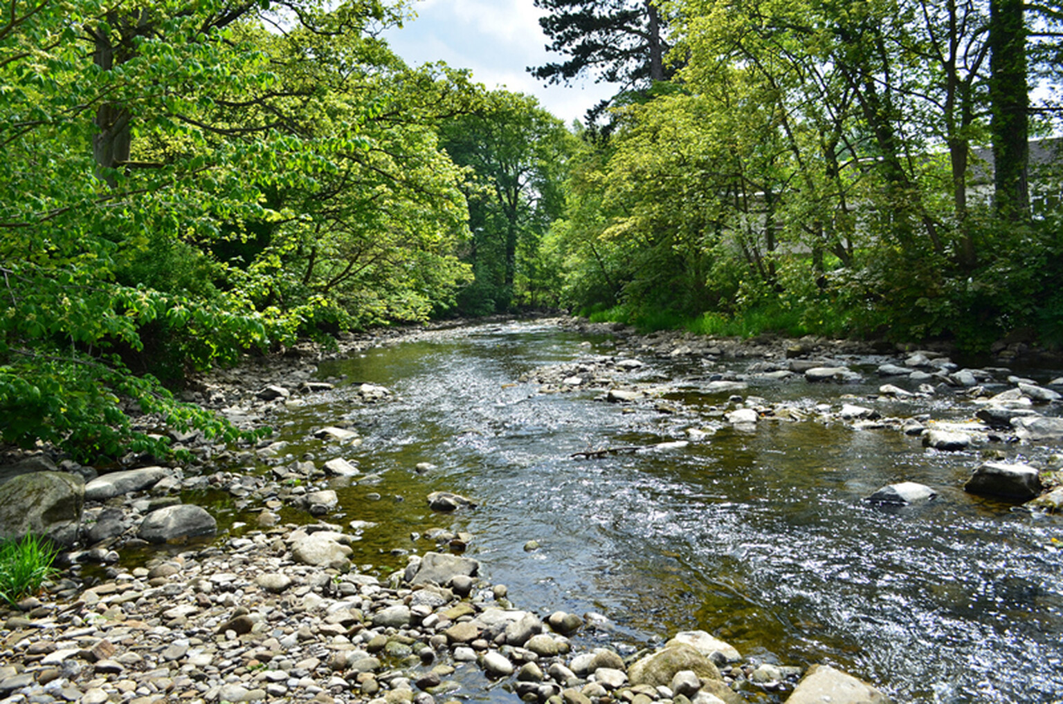 Rural fibre broadband project B4RN connects 1,000th customer