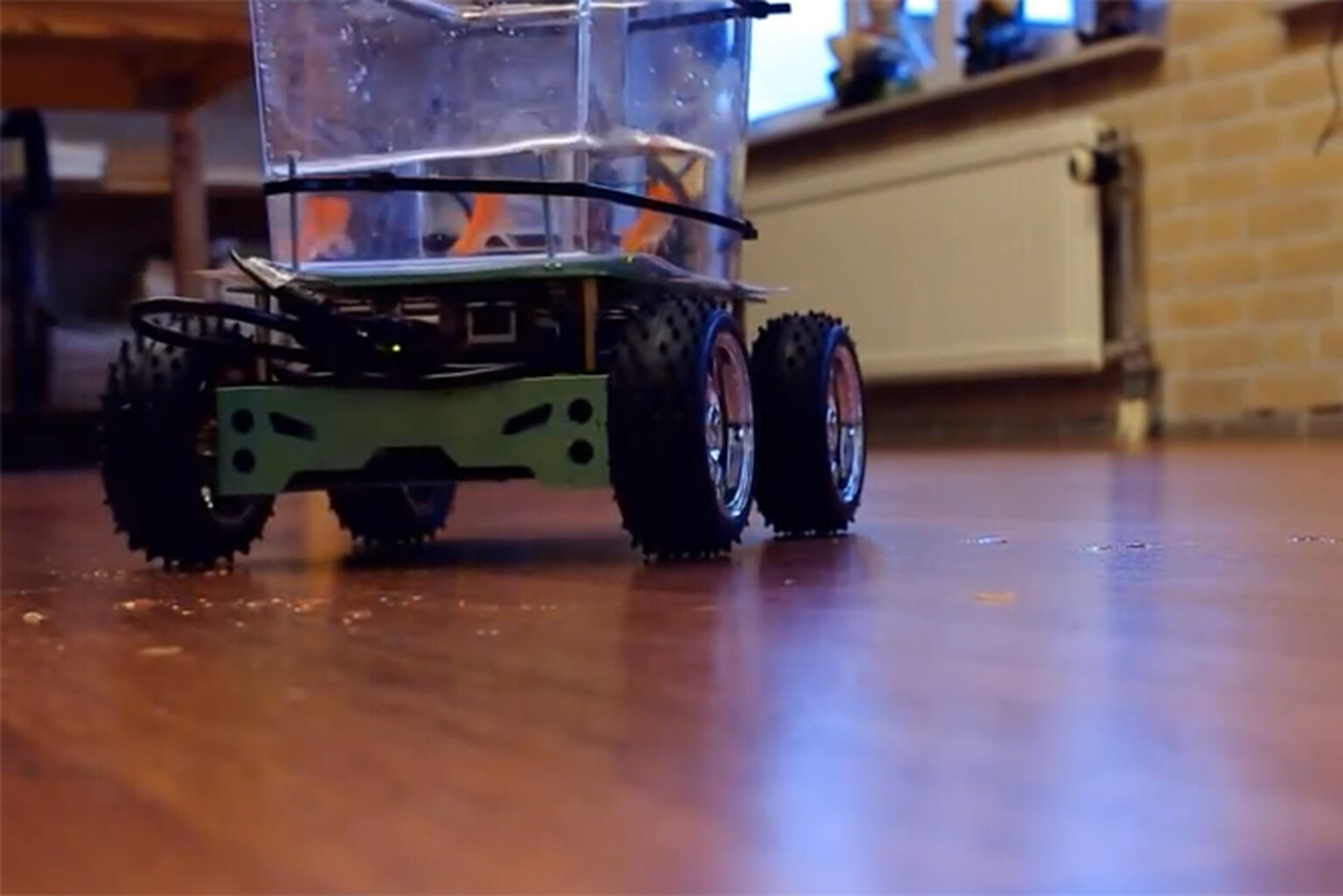 'Fish on Wheels' robot car lets your pet fish drive