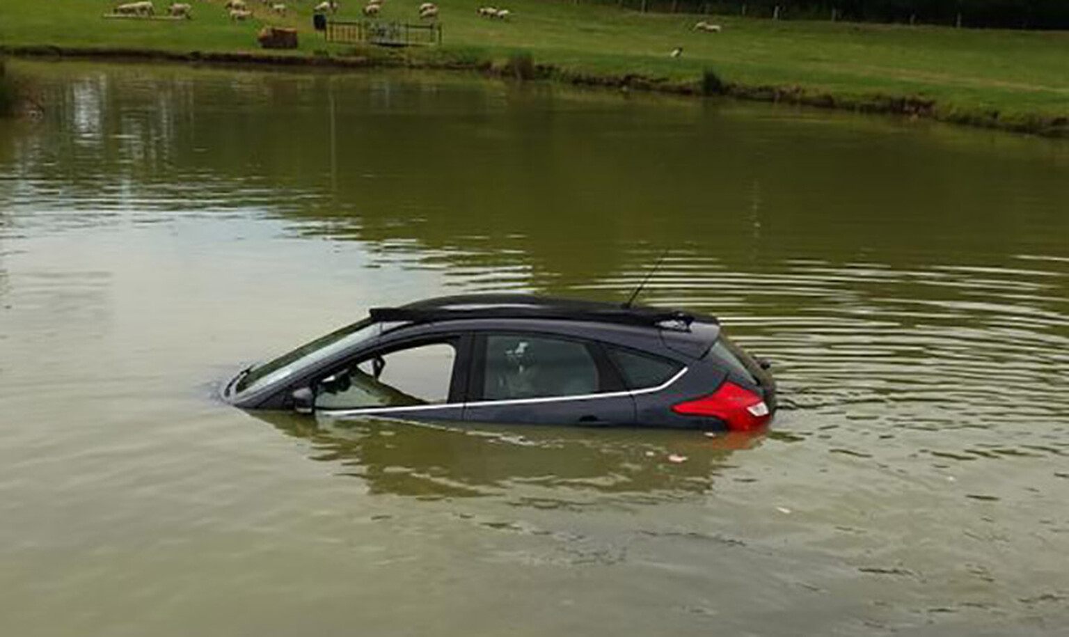 Elderly man carries on smoking his pipe after driving into a lake