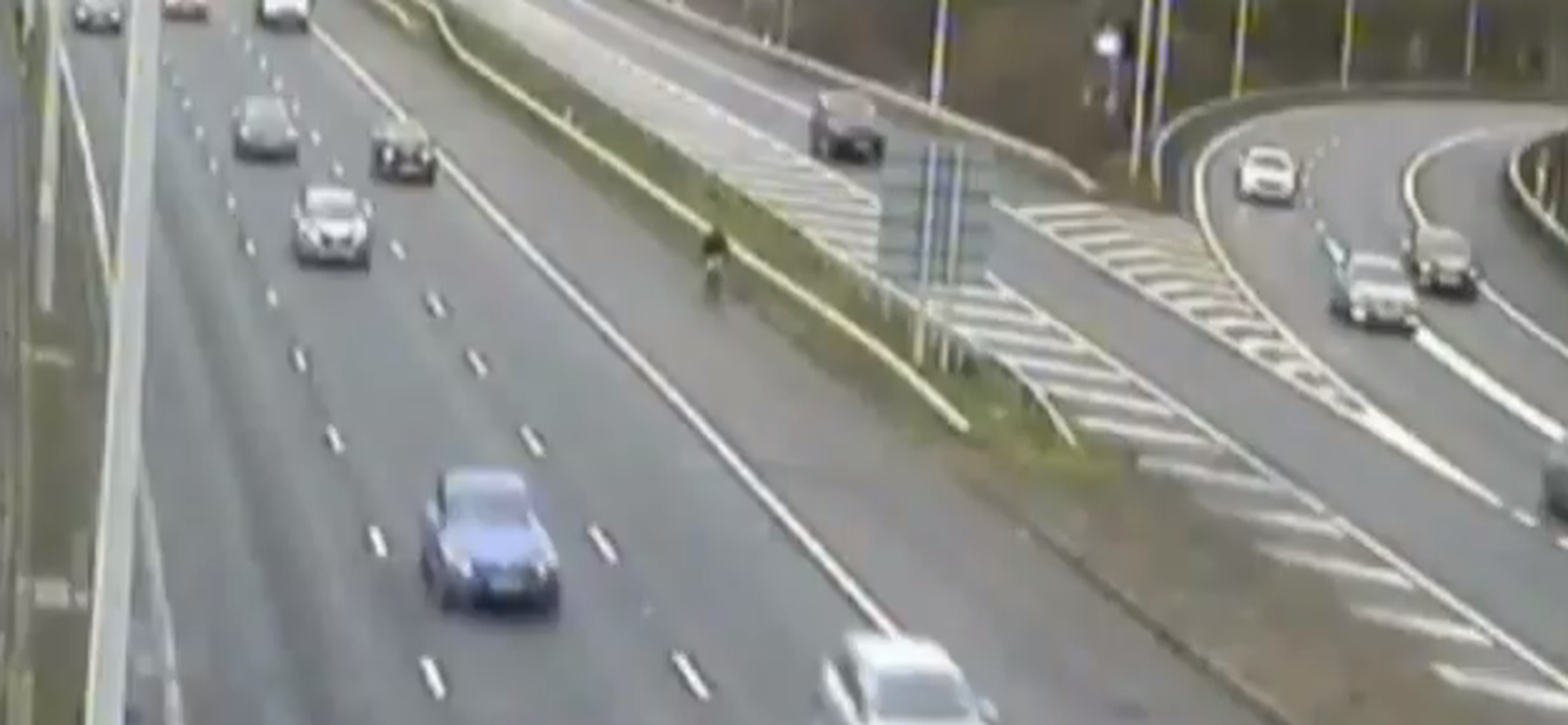 M25 cyclist led onto motorway by phone app