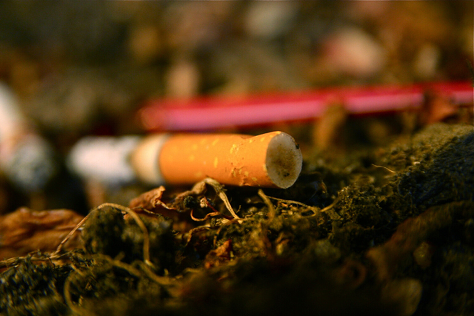 Motorist fined £1,000 after flicking cigarette butt out of car window