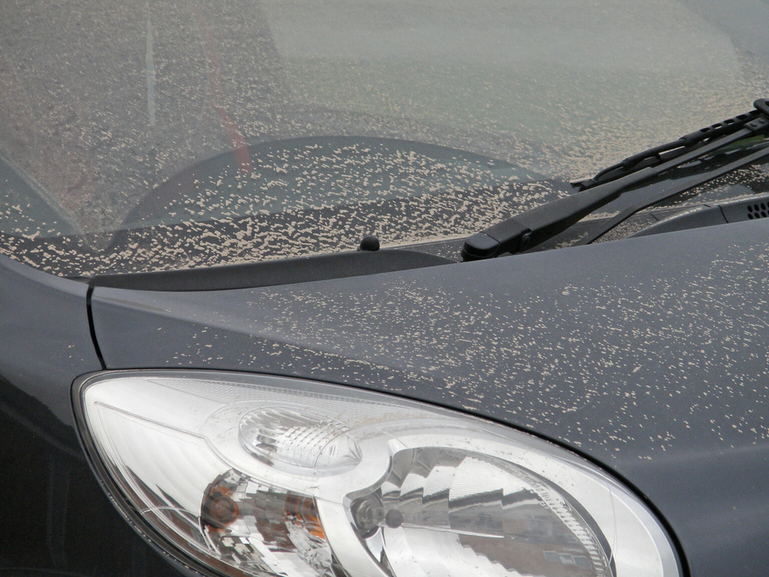 Car covered in dust? It’s probably from the Sahara desert!