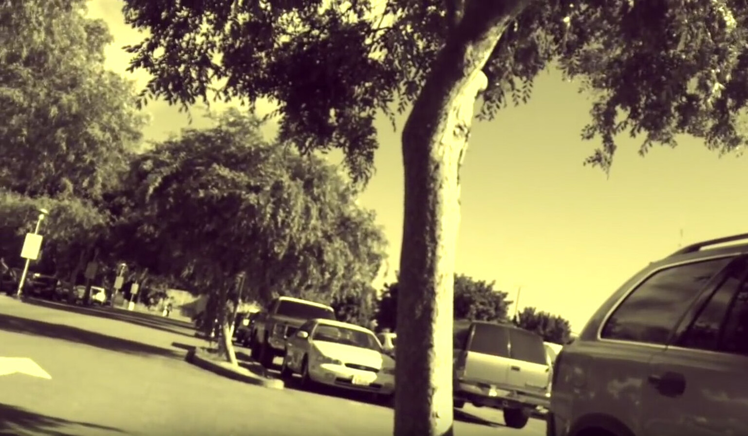 Watch: Dying car alarm video goes viral