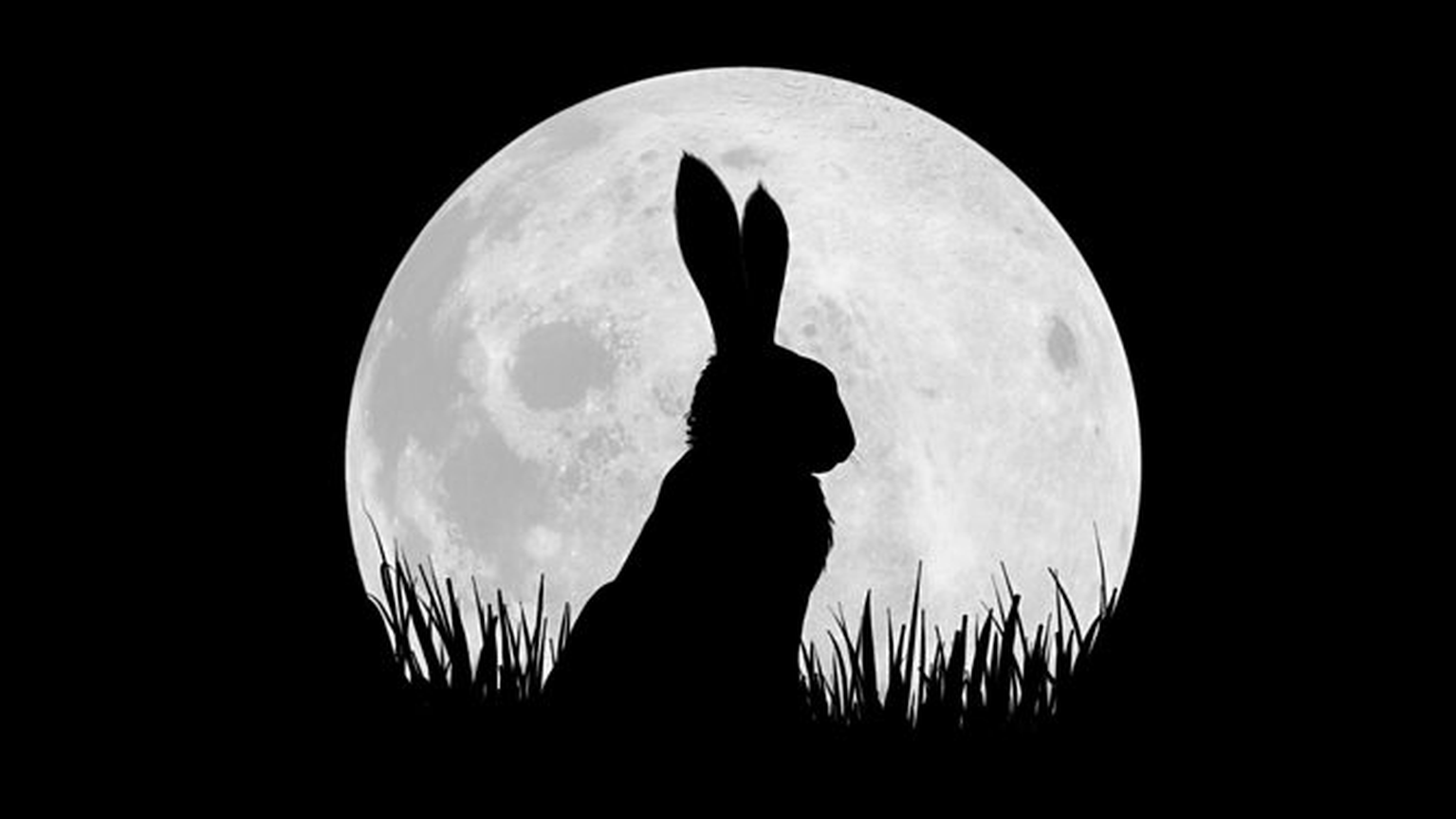 BBC and Netflix to traumatise new generation of kids with Watership Down remake