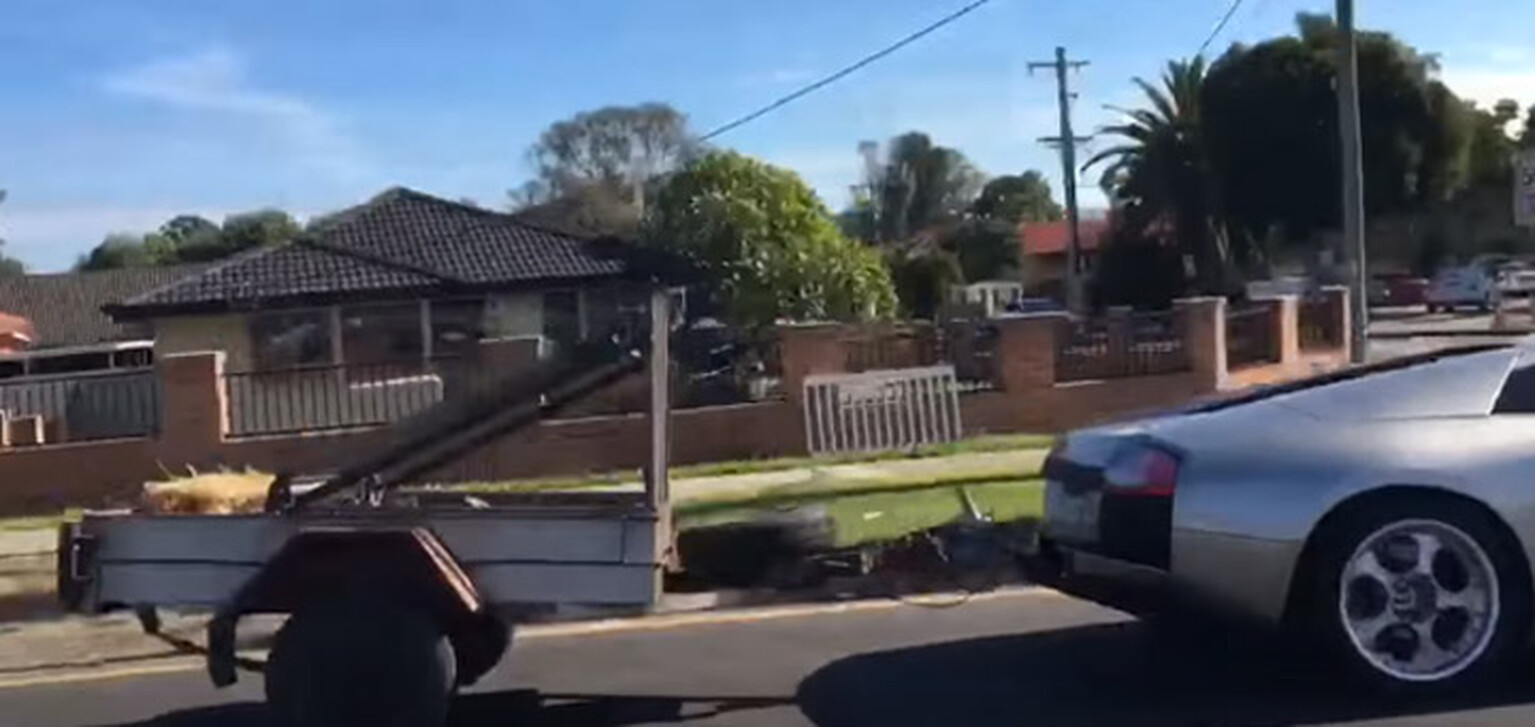 Watch a Lamborghini Murcielago tow some goats in Australia