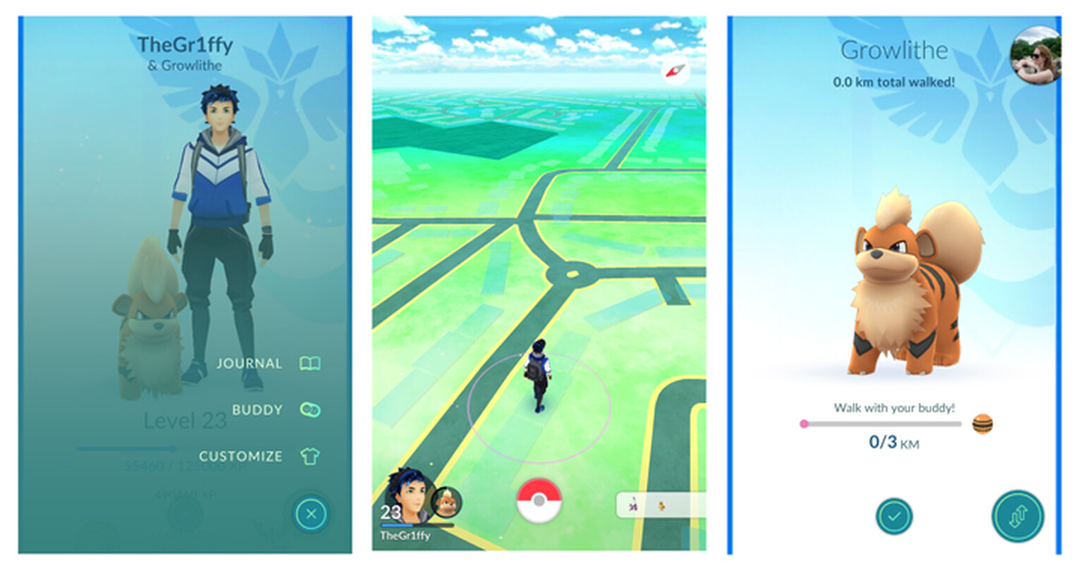 What is the Pokemon Go 'buddy' update and how do I get it?