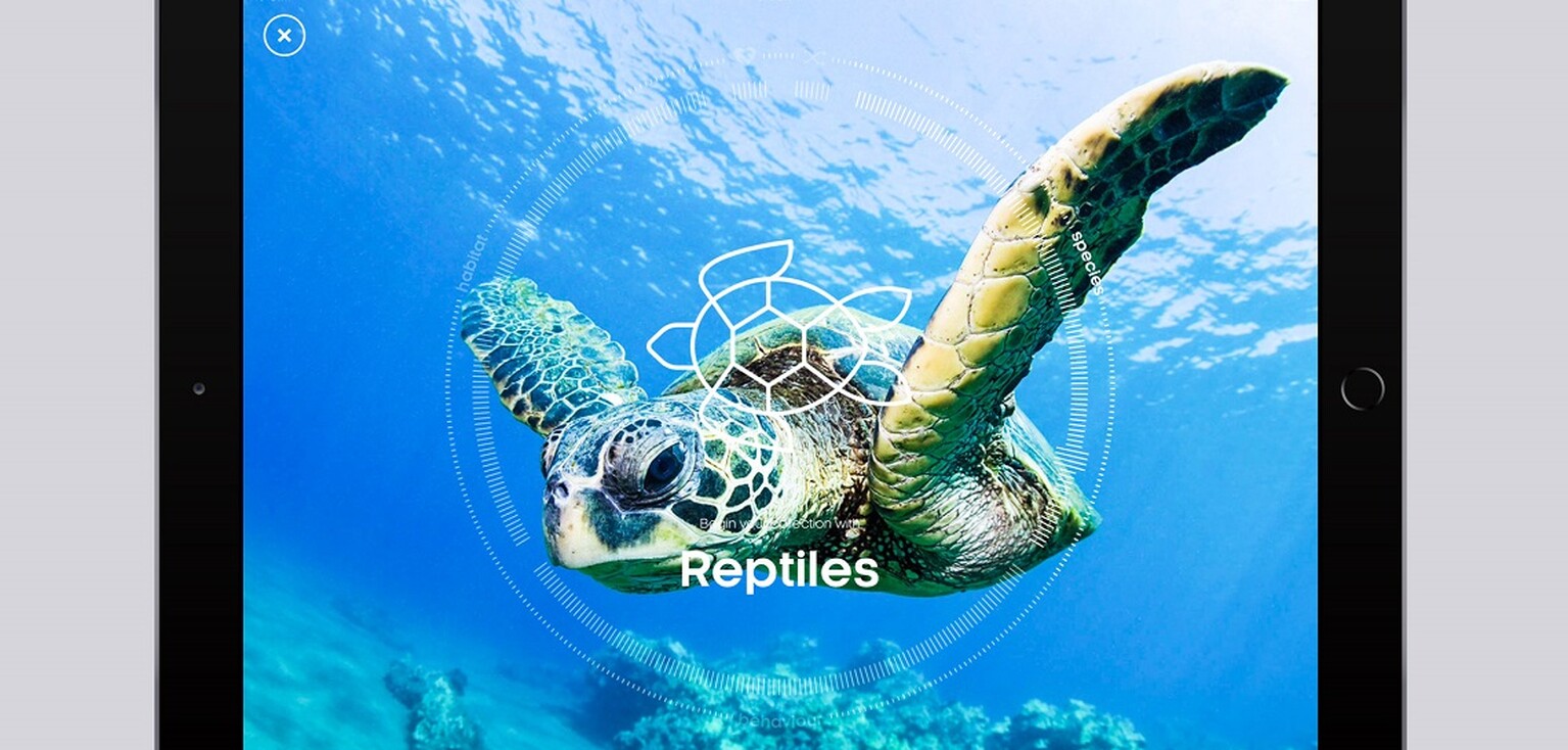 David Attenborough's free The Story of Life app is a stunning collection of greatest hits