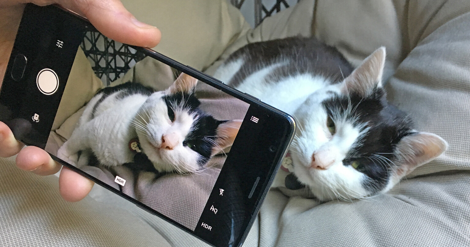 OnePlus 3T Camera Review: Photo and video tests and samples