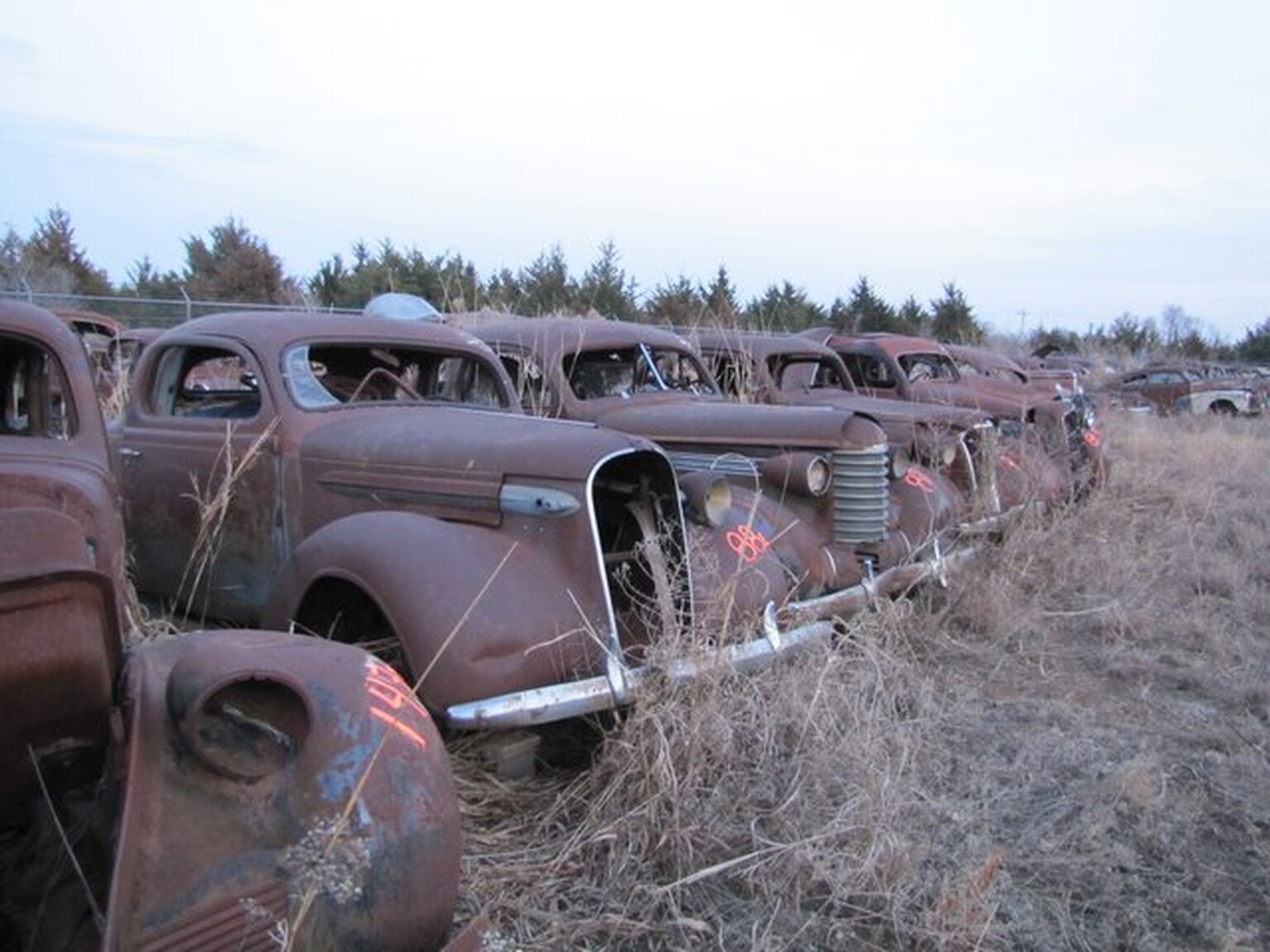 Stubborn businessman keeps secret stash of cars for 61 years