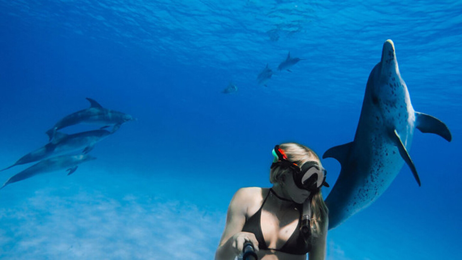 Best GoPro alternatives you can buy right now