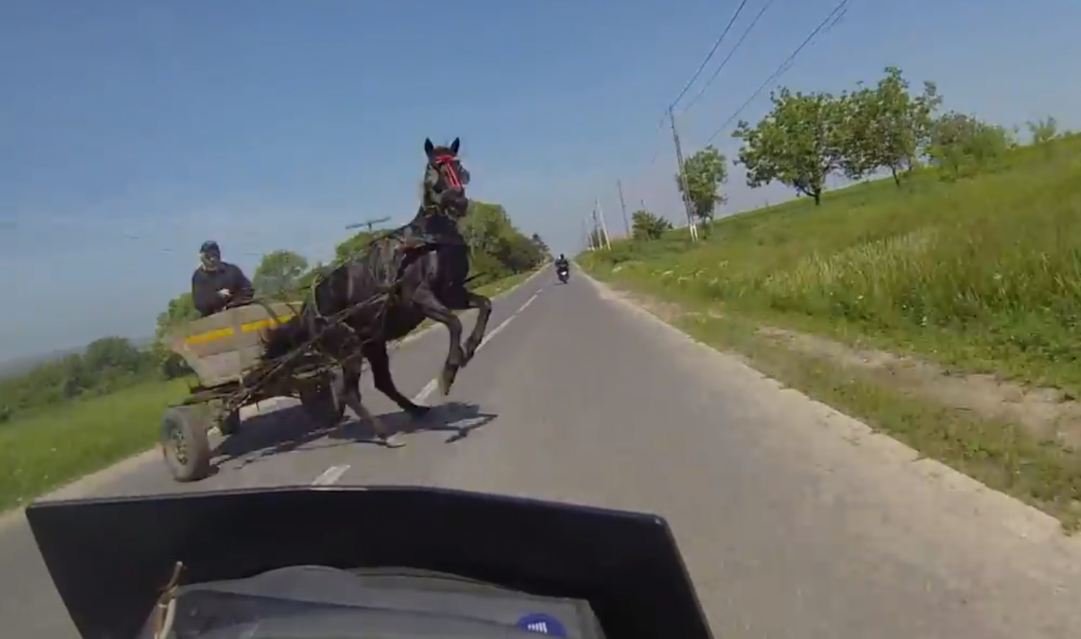 Motorcyclist misses one horse, hits another