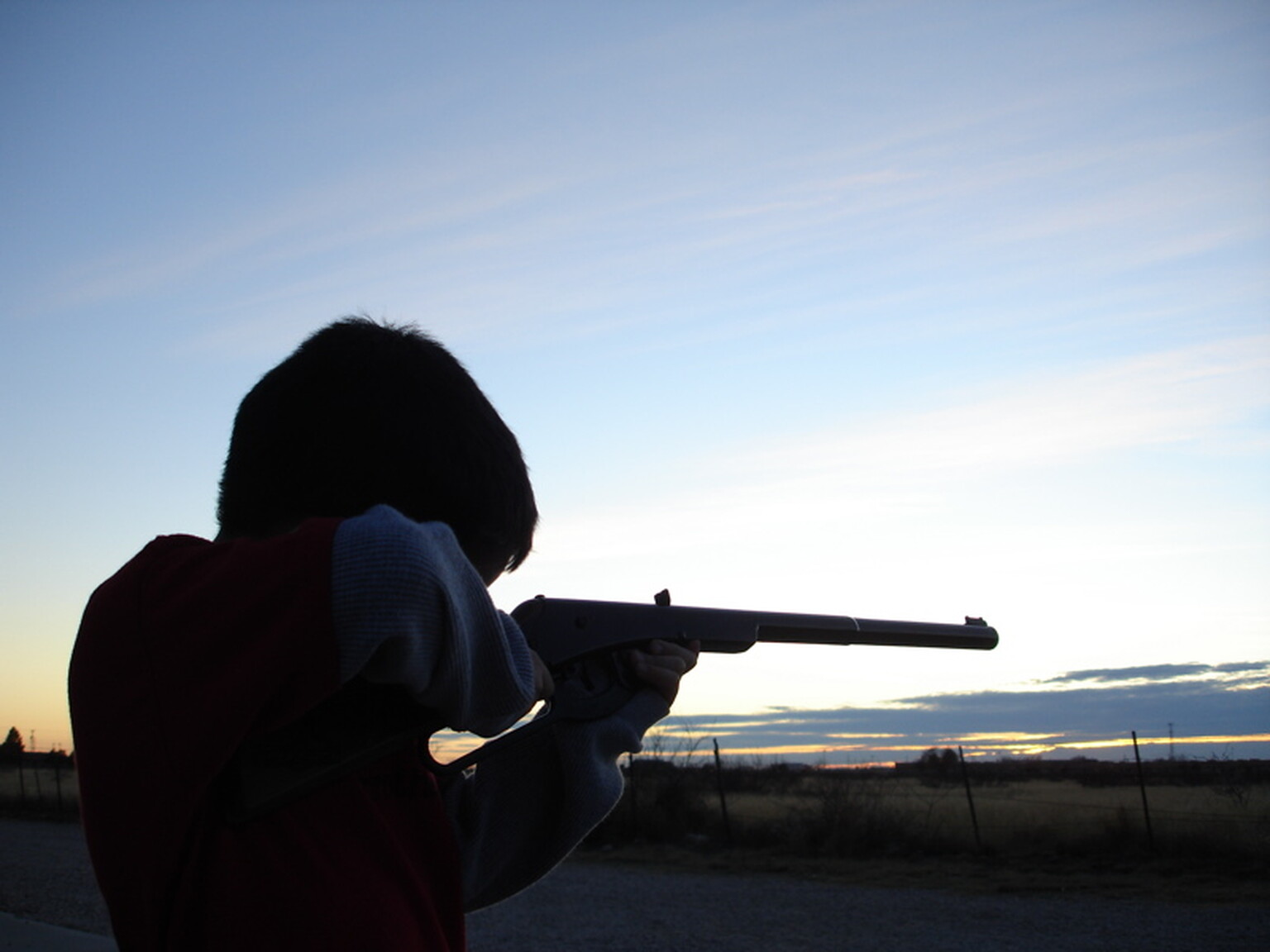 BB-gun toting teens call police on themselves after vandalising cars