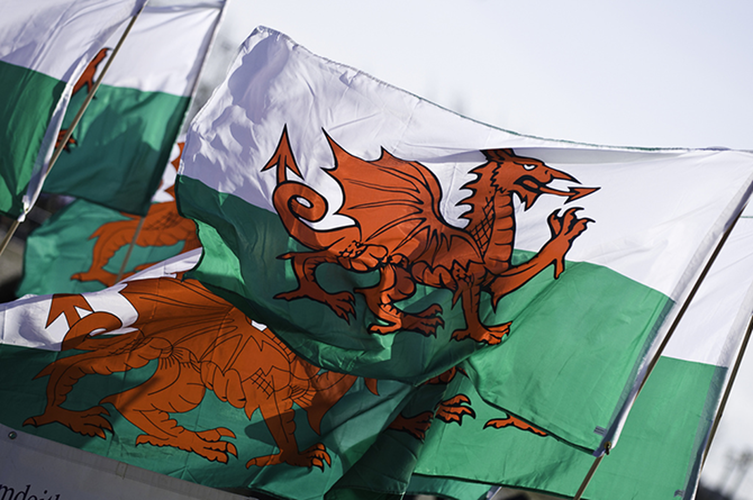 Welsh Government wants your help to bridge the superfast broadband gap